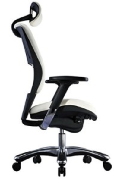 ergonomic chair for back support