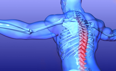 Chiropractic Care for Back Pain in Alachua, FL