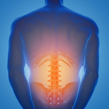 Back Pain Doctor in Citra, FL