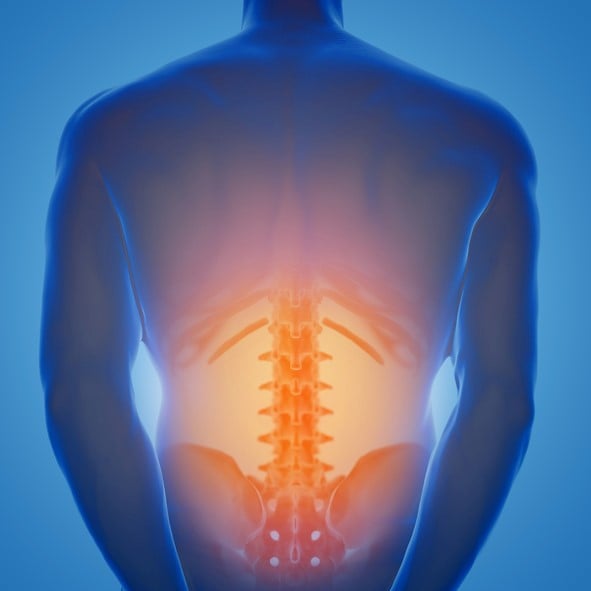 Back Pain Chiropractors in Gainesville, Florida