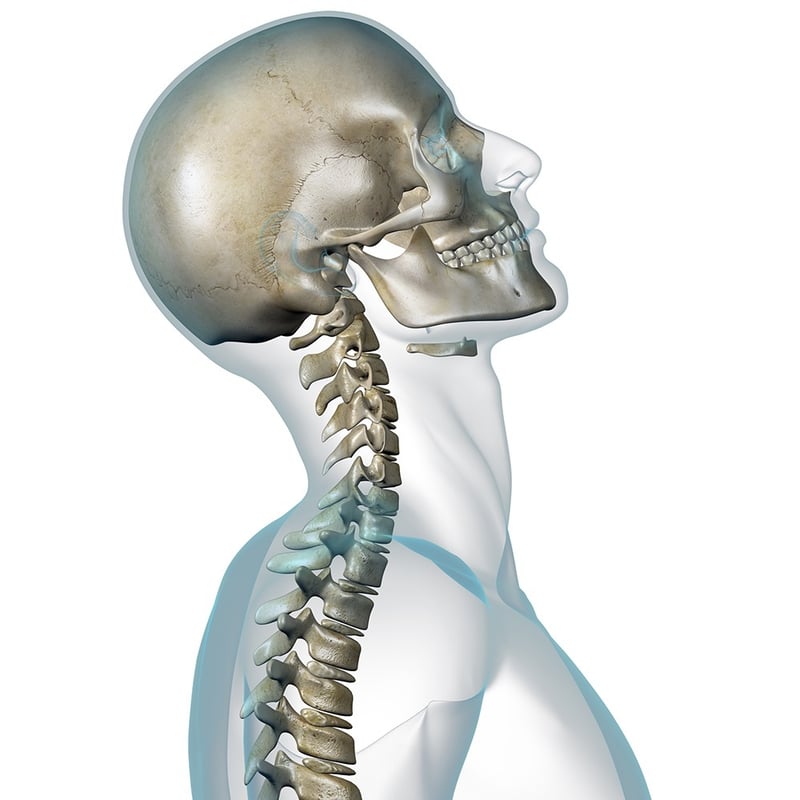 Gainesville Whiplash Injury Chiropractors 