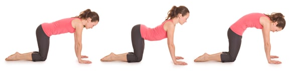 back pain | the cat stretch